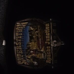 Harley-Davidson tee shirt